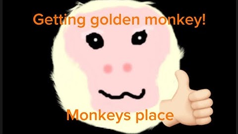 Getting golden monkey in monkeys place
