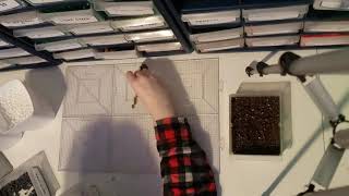 TMNT Donatello Perler Bead Art Time Lapse