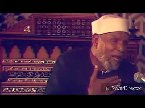 أعظم ثناء علي الله كلمات من ذهب أجمل ما قيل الشيخ الشعراوي