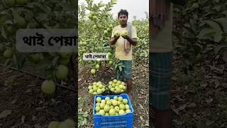 fruits/#funny #youtubeshorts #comedy #gaming #cartoon #shorts