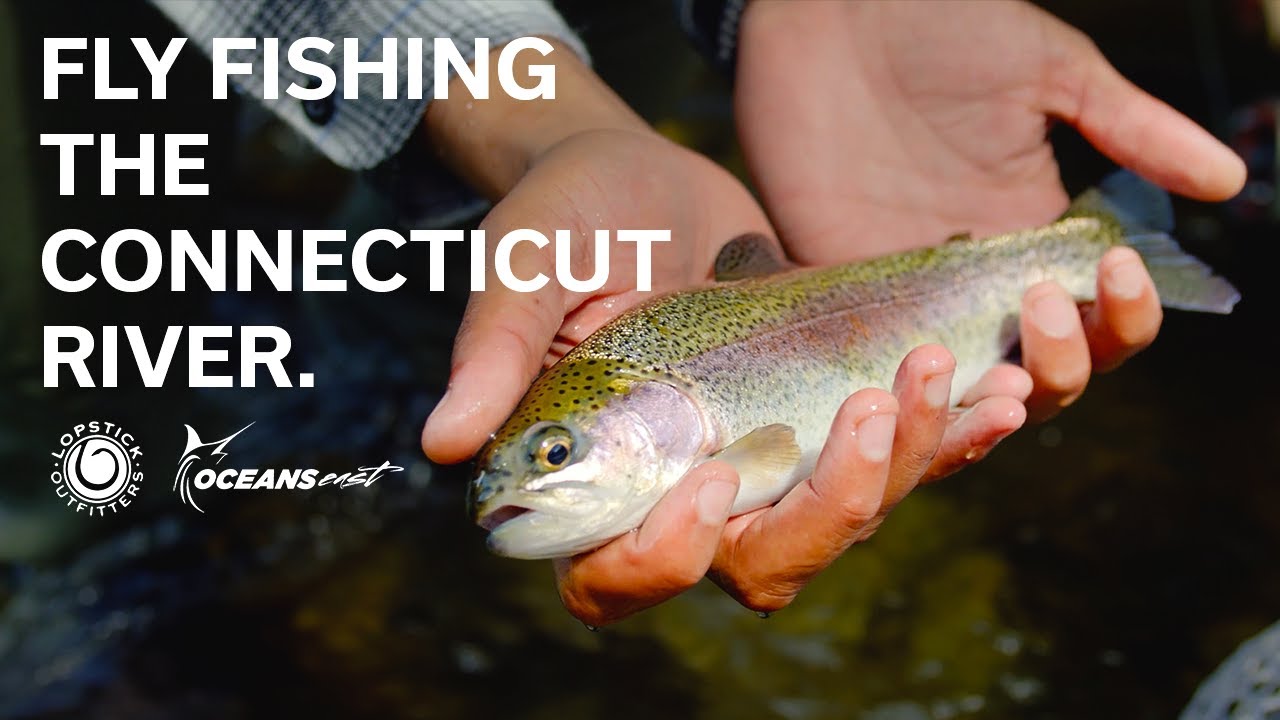 Can Saltwater Fisherman Catch Rainbow Trout? (Fly Fishing New Hampshire) 