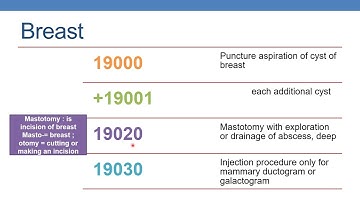 CPT CODING GUIDELINES FOR SURGERY   INTEGUMENTARY SYSTEM PART 2A  BREAST