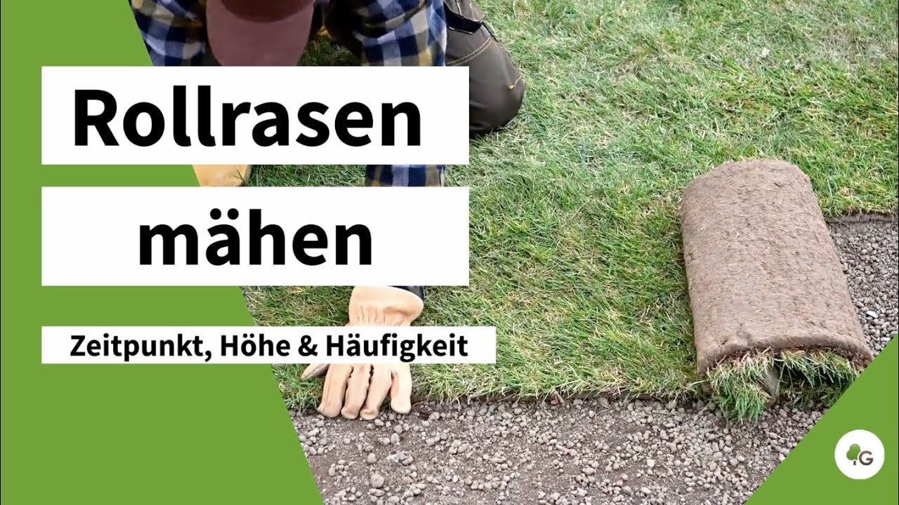 kann man dnger in wasser auflsen Volldnger fr Hydrokultur und Grnpflanzen  Green Me Up