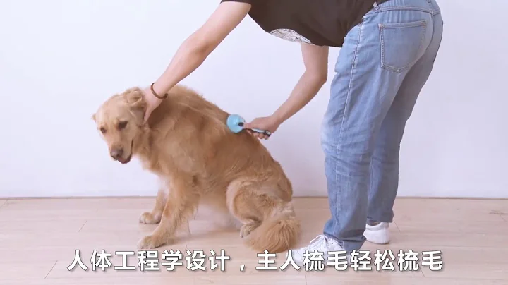 Video 1726901: cat grooming bath, cat grooming pets, pet bath brush, cat grooming dog, cat hair brush, bath massage