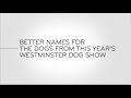 Last Week Tonight - And Now This: Better Names for the Dogs from This Year&#39;s Westminster Dog Show