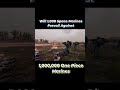 Will 1,000 Space Marines Prevail Against 1,000,000 One Piece Marines?