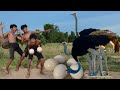 Primitive technology  smart steal ostrich egg and cooking  eating delicious