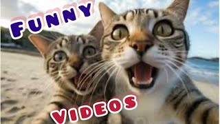Most Funiest memes | Animal funny videos