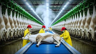 Dentro La Fabbrica Di Cuoio Dellantilope Selvatica Dellartico