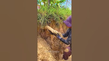 Unclogging and Clearing Blocked Drain Pipes #clogged #satisfying #unclog #shorts #video