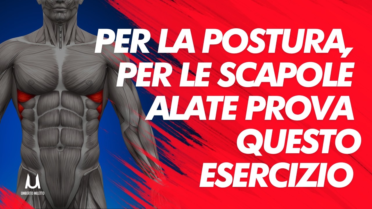 Dentato Anteriore miglior esercizio | Ideale per Scapole Alate e Postura