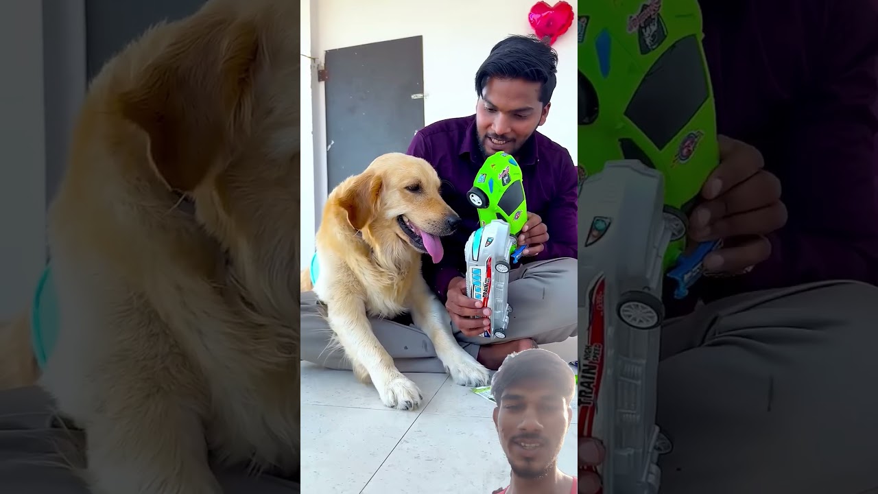 डोरेमोन मेरे डॉगी को क्यों अच्छा लगता है😱 #funnydogs #shorts