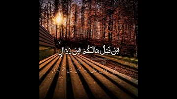 Surah Ibrahim Ayat 44 سورة إبراهيم abdulrhman mosad القارئ عبدالرحمن مسعد Quran Translation Urdu