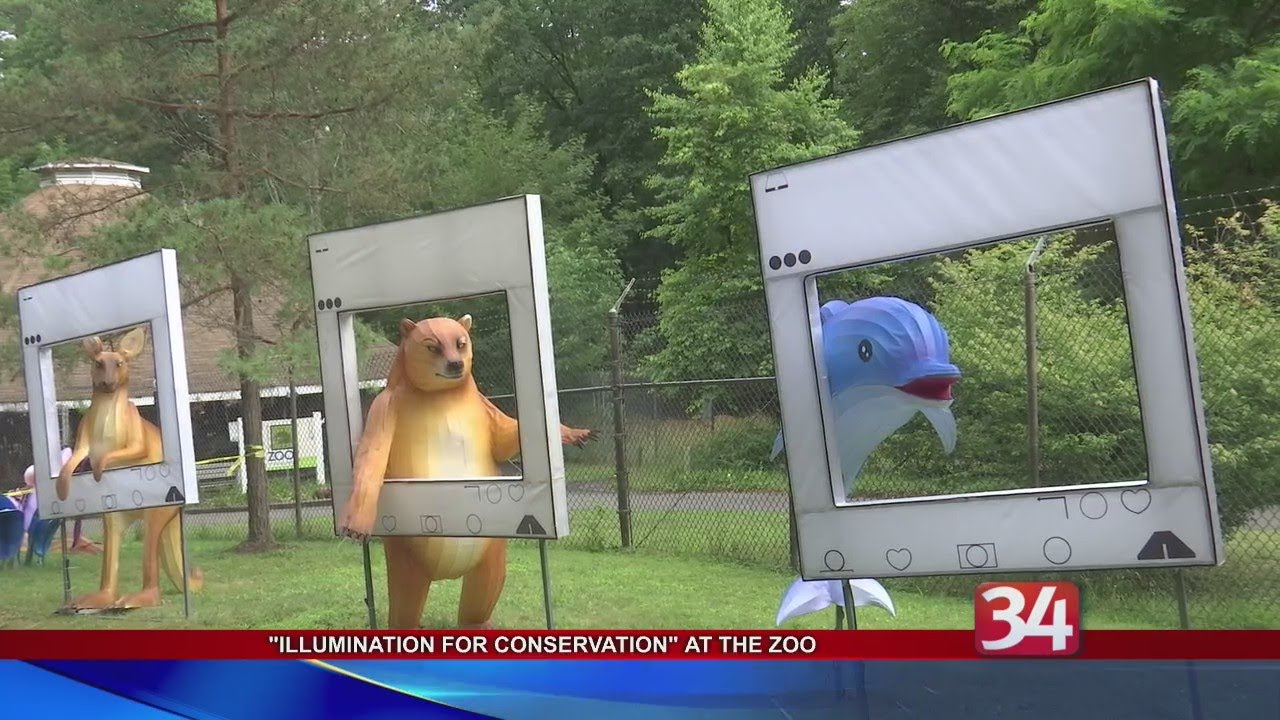 Ross Park Zoo prepares to light up the night YouTube