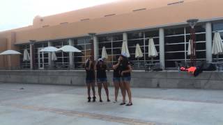 Delta Chapter of Alpha Pi Omega Sorority Inc. Spring 2014 Line