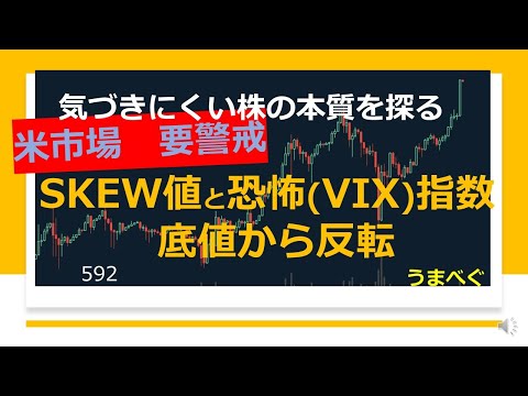 592【米市場要警戒　SKEW値と恐怖VIX指数が底値から反転】20230217 　#ダウ #ナスダック  #SKEW #VIX #市場の歪み　#チャート #株の初心者　#デイトレ  #株式投資