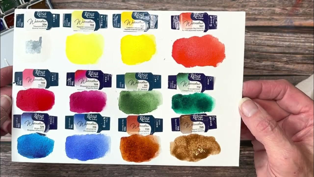 Rosa : Watercolor Paint : 10ml : Coral
