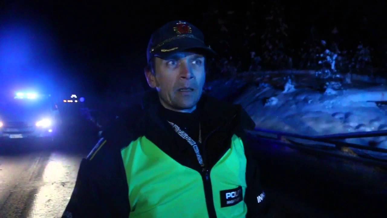 To personer drept i frontkollisjon på E134