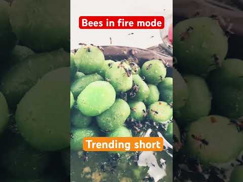 Trending short  #shorts #viral