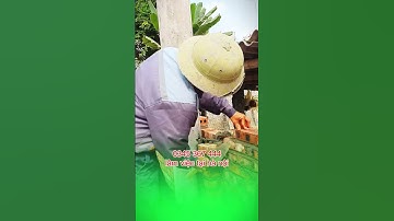 tuyển nhân công đi làm buộc sắt công trình ngay tại hà nội #congtrinhxaydung #tuyendung #xaydung