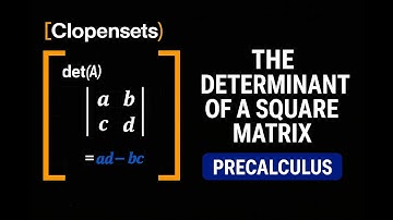 The Determinant of a Square Matrix | Precalculus