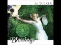 Handfast Blessing (SJ Tucker - Blessings)