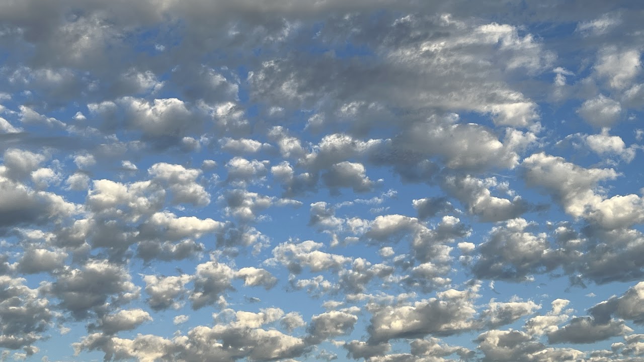 ☢️BO6☣️BETA☢️TxDmndDon☣️