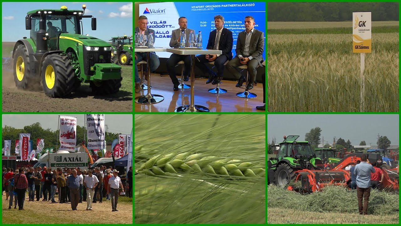 2022. június 12-ei adás