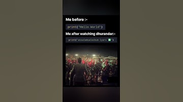 Programming level: Dhurandhar mode ON 😂 #viral #memes #coding #programmerlife #programming