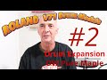 Hear the Roland V71 Drum Expansion DW Pure Maple Drummer Position