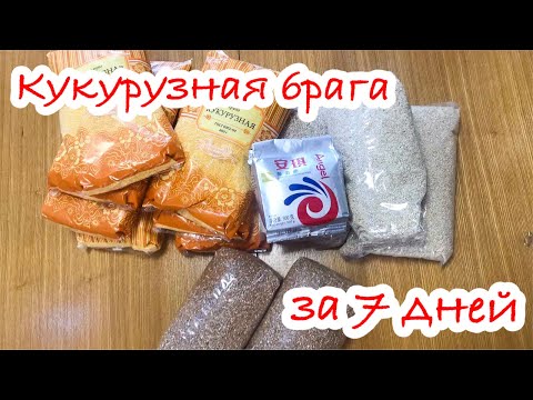 Кукурузная брага на кодзи за 7  дней