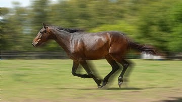 Motion Blur Effect - GIMP 2.8 Tutorial