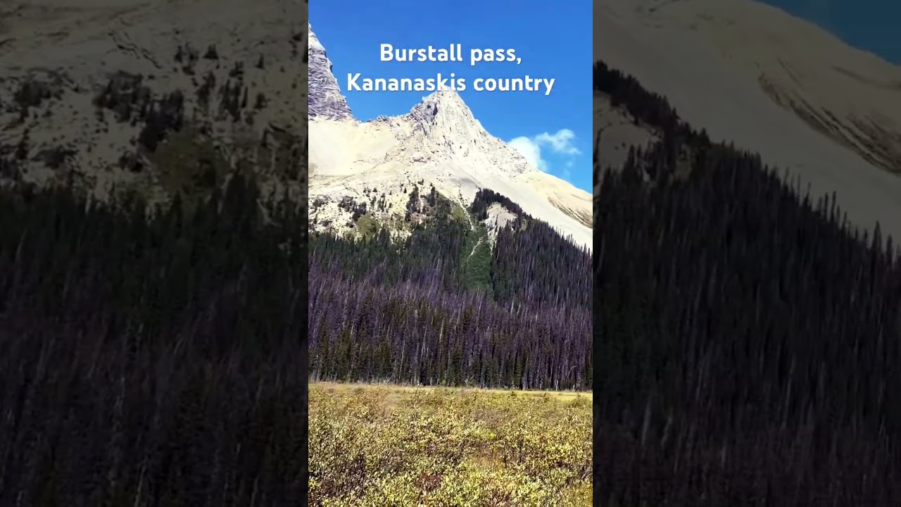 Bow valley provincial park, Alberta, Canada