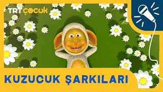 KUZUCUK ŞARKILARI | TRT ÇOCUK Resimi