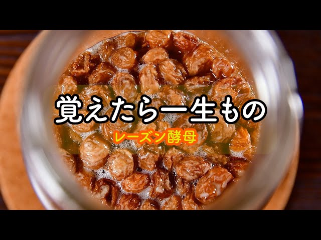 初めてのレーズン酵母】覚えたら一生もの！やさしい天然酵母パンの