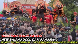 Viral Terbaru GeGer❗ Barongan BAJANG Ucol Jaranan Srijoyo Putro Original Live Banyurip Sonoageng