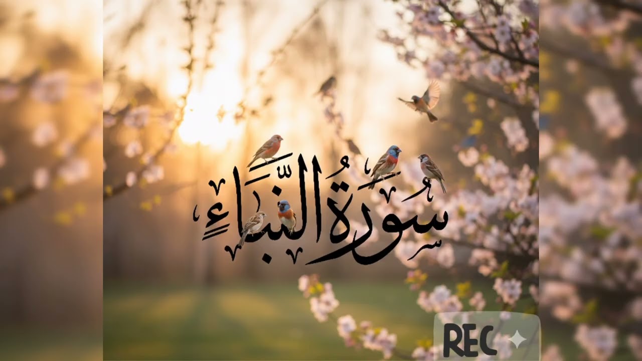 6 March 2026 soratonaba #tredingvideo#1000subscriber #vairlvideo #aslamic #aslamicvideo