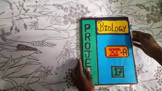Class 12 Biology project | Project on HIV(AIDS)| Art Integrated Project