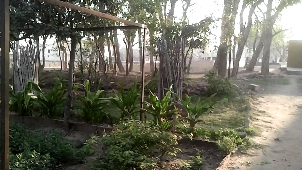 Vrindavan image 2013