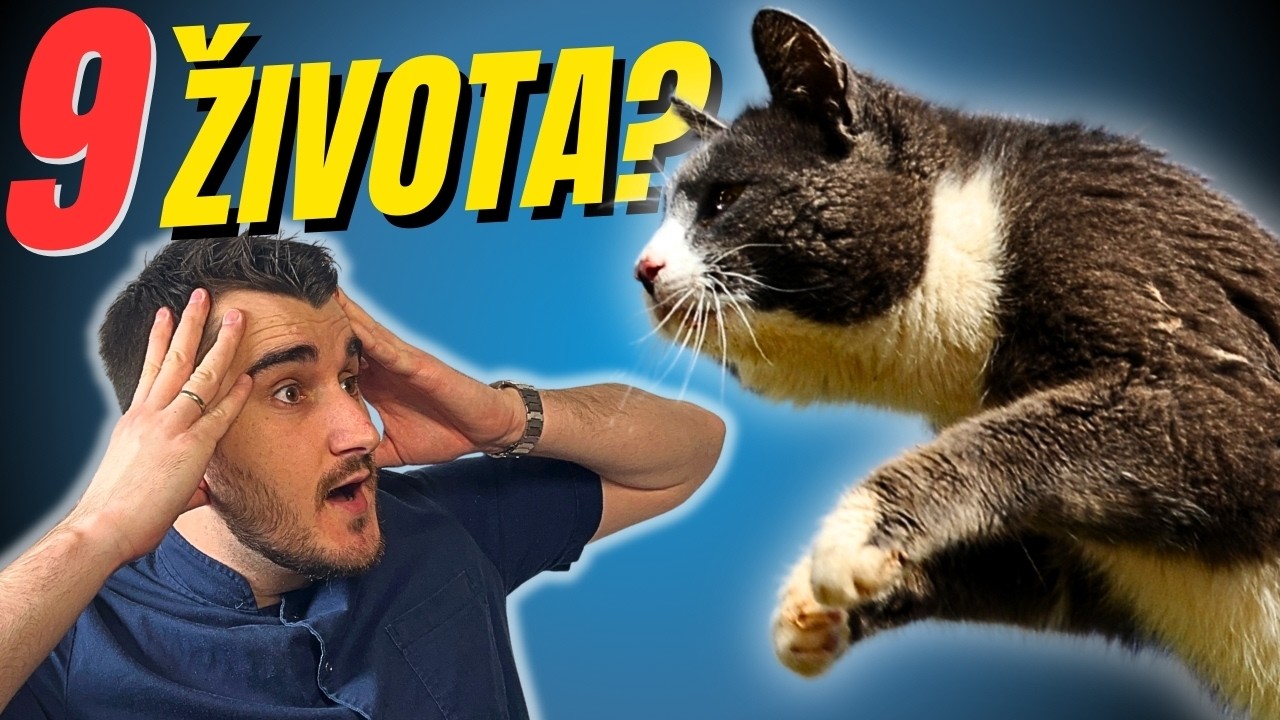 ISTINA ili LAŽ? - 7 najvećih MITOVA o mačkama