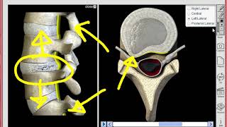 3D Practice for Decompression Therapy