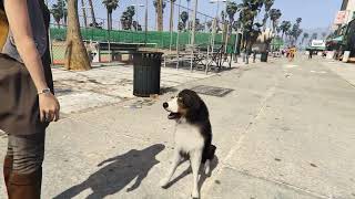 Famous madpets– The Ultimate Pet System for FiveM Wealth