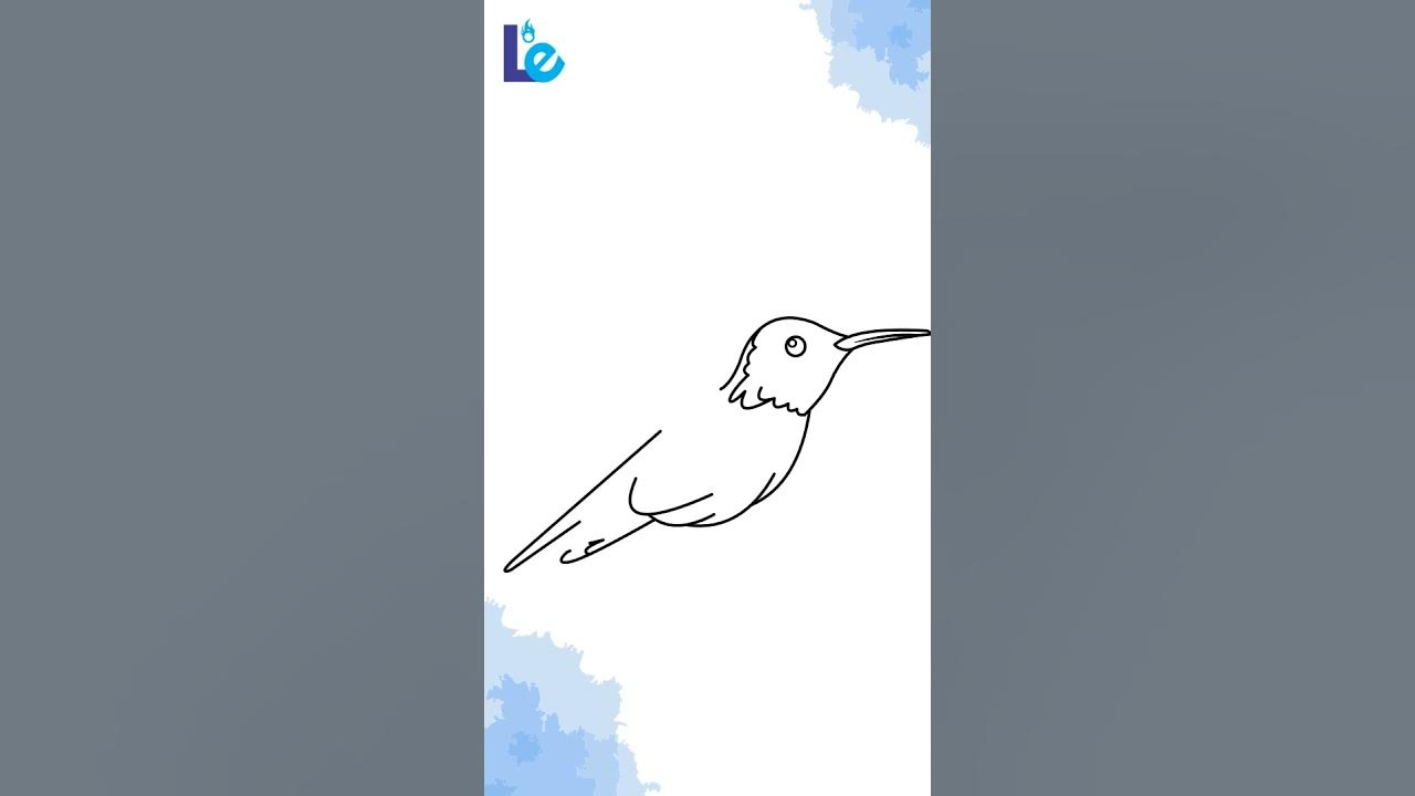 Wie man einen kolibri vogel zeichnet shorts short youtube