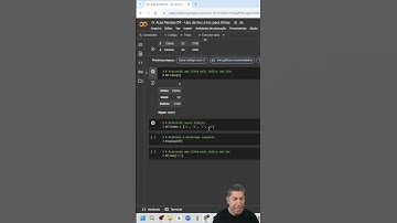 Pandas Aula 09 - 🔍 Diferença entre iloc e loc no pandas
