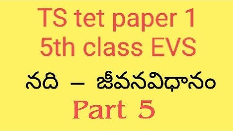 TS#tet# paper 1 #5th class#EVS (content) part 5