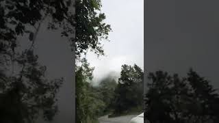 🤌☁#nainital #faasle #ytshortsfeed #trendingvios