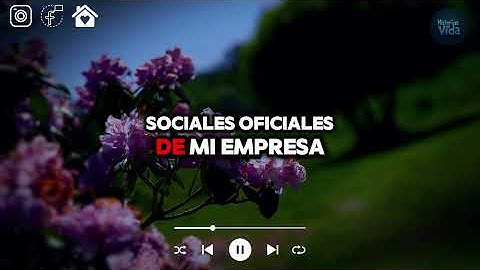 Antes De Proponerle Matrimonio A Mi Novia, La Puse A Prueba Contándole Una Mentira. "Mis Padres...