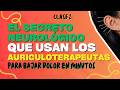 EL SECRETO NEUROLÓGICO QUE USAN LOS AURICULOTERAPEUTAS PARA BAJAR EL DOLOR