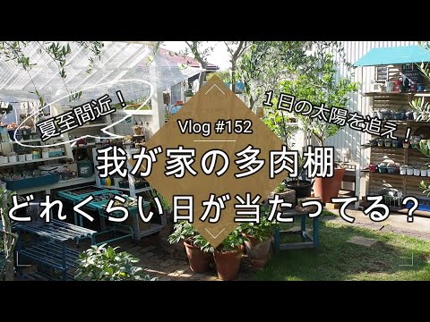 Vlog152 多肉植物 夏至間近 多肉棚どれくらい日が当たってる １日の太陽を追え 夏越し 遮光のコツ 日向 日陰 半日蔭 Youtube