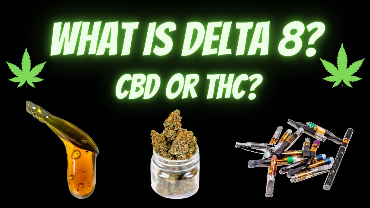 What is Delta 8? l EP.1